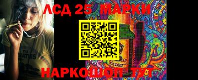 СК Сланцы