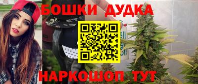 СК Сланцы