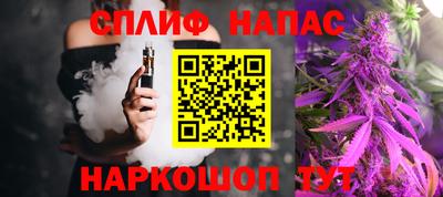СК Сланцы
