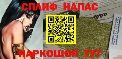 СК Сланцы