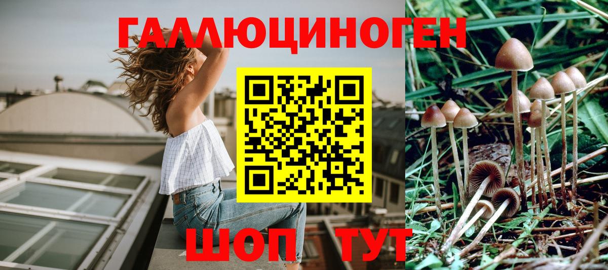 Псилоцибиновые грибы ЛСД Отрадное