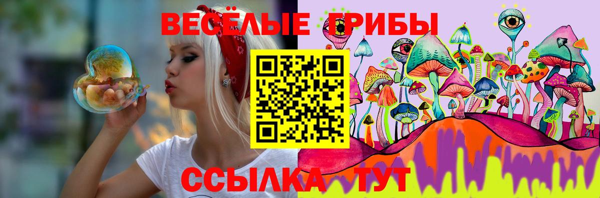 Псилоцибиновые грибы прущие грибы  Псилоцибиновые грибы MAGIC MUSHROOMS  Вход с VPN  Отрадное 